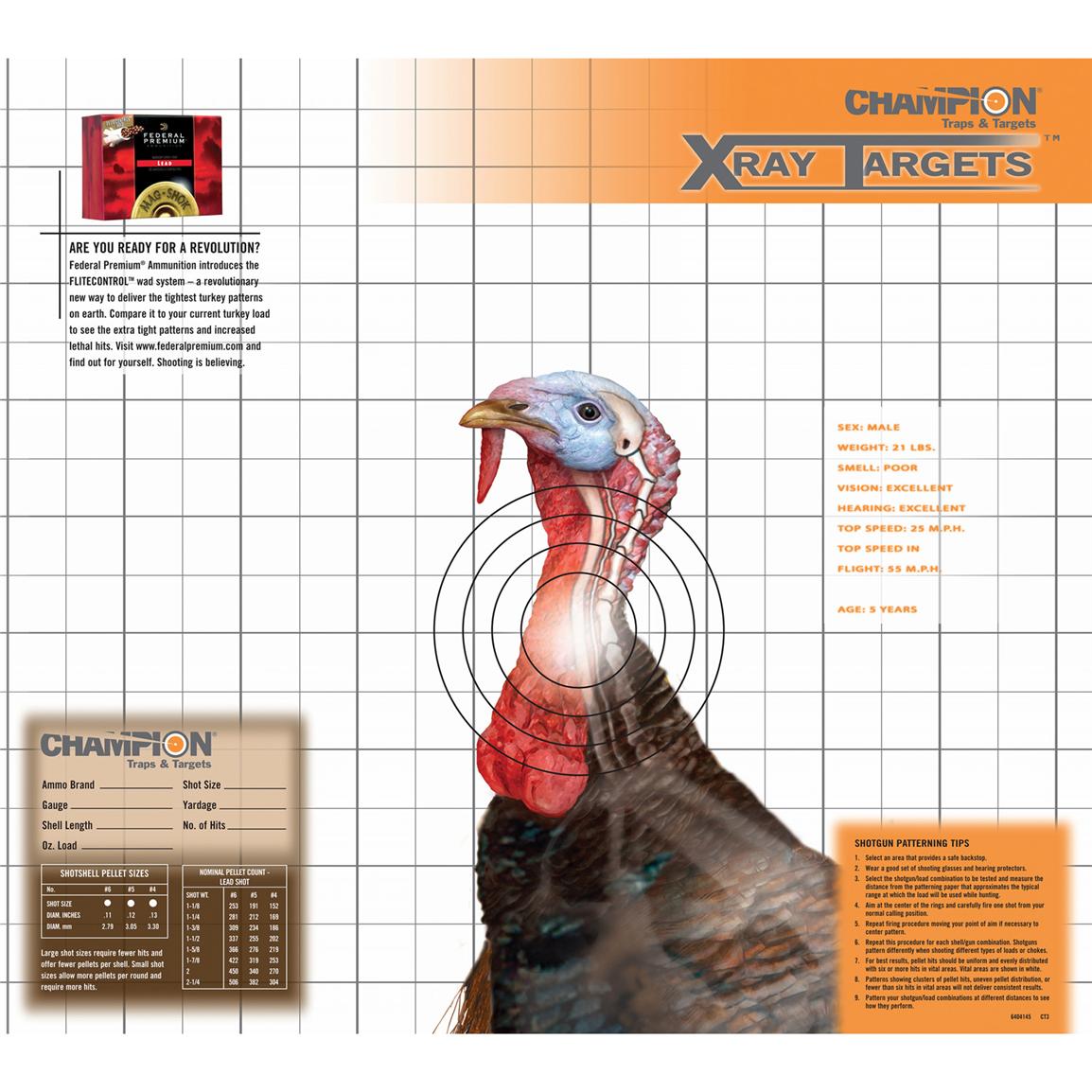 Champion® X - Ray Turkey Targets - 220716, Shooting Targets at ...