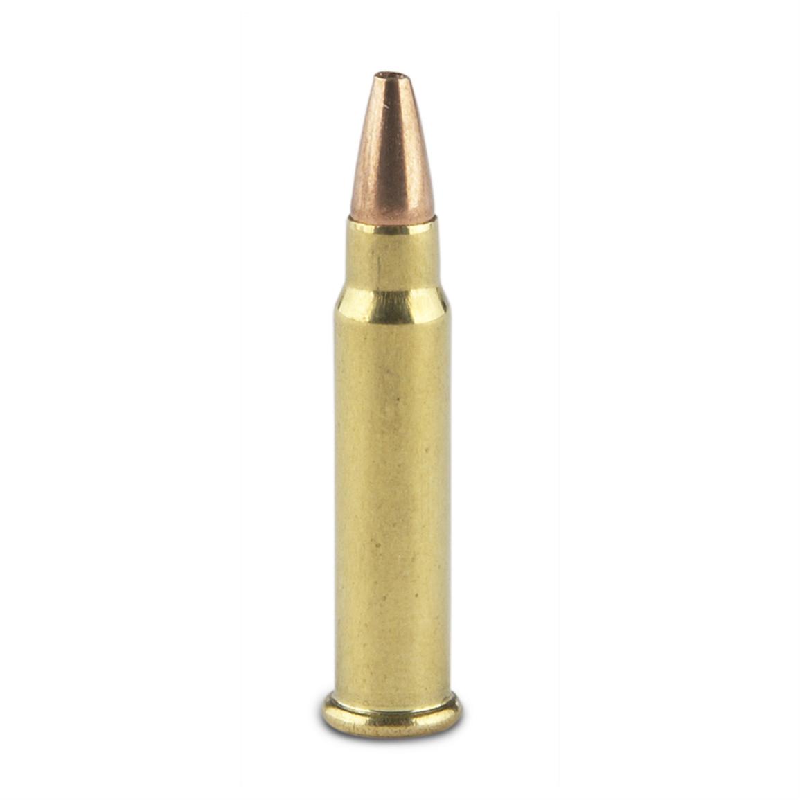 TNT® .17 HMR Hollow - Point Ammo with FREE Ammo Can, 400 rounds ...