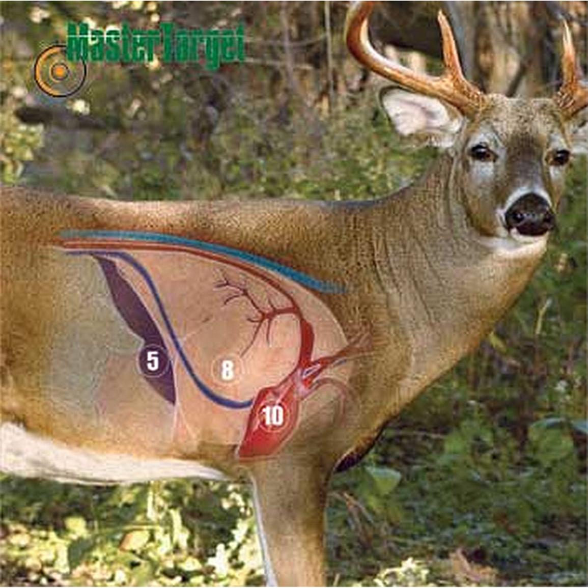 Deer Vitals Target Printable