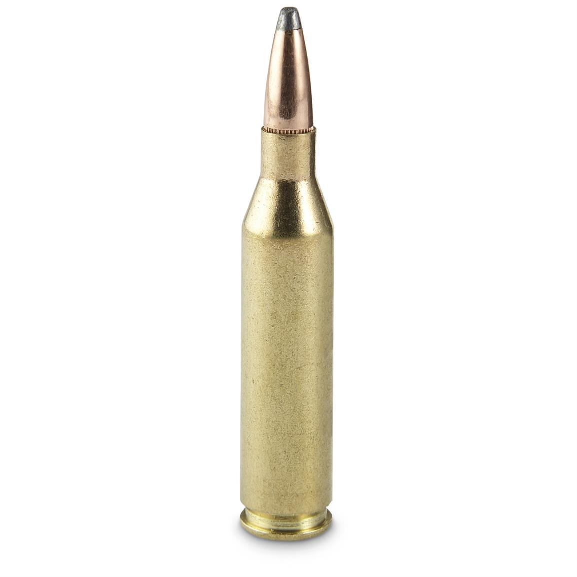 Hornady American Whitetail 243 Winchester InterLock BTSP 100 Grain 
