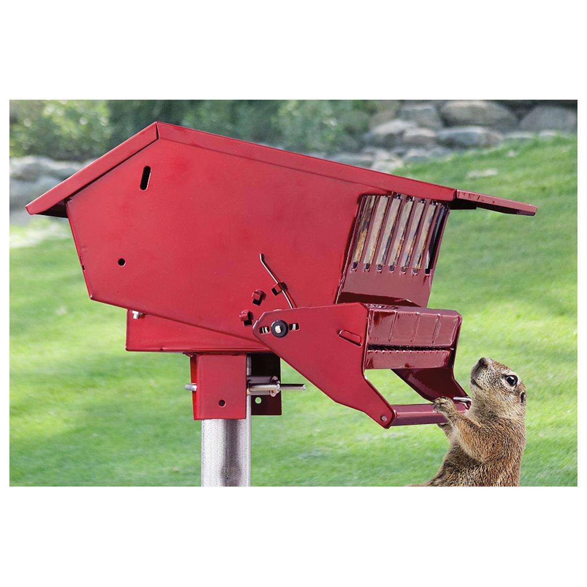 Red Squirrel-proof Feeder - 581912, Bird Houses & Feeders at Sportsman