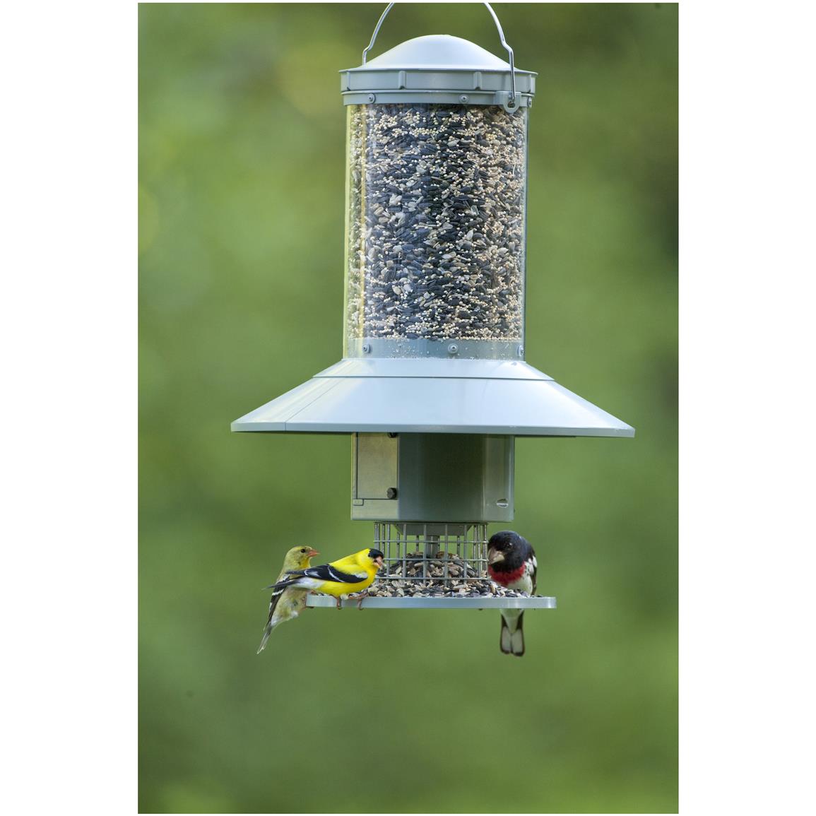 Wingscapes AutoFeeder 589433, Bird Houses & Feeders at Sportsman's Guide