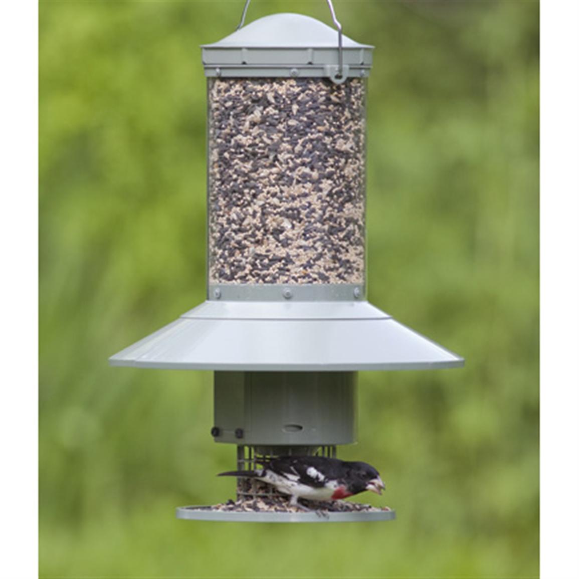 Wingscapes AutoFeeder 589433, Bird Houses & Feeders at Sportsman's Guide