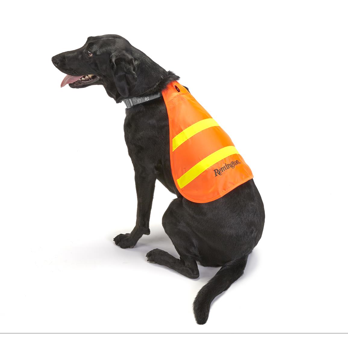 Remington Reflective Safety Vest for Dogs, Orange