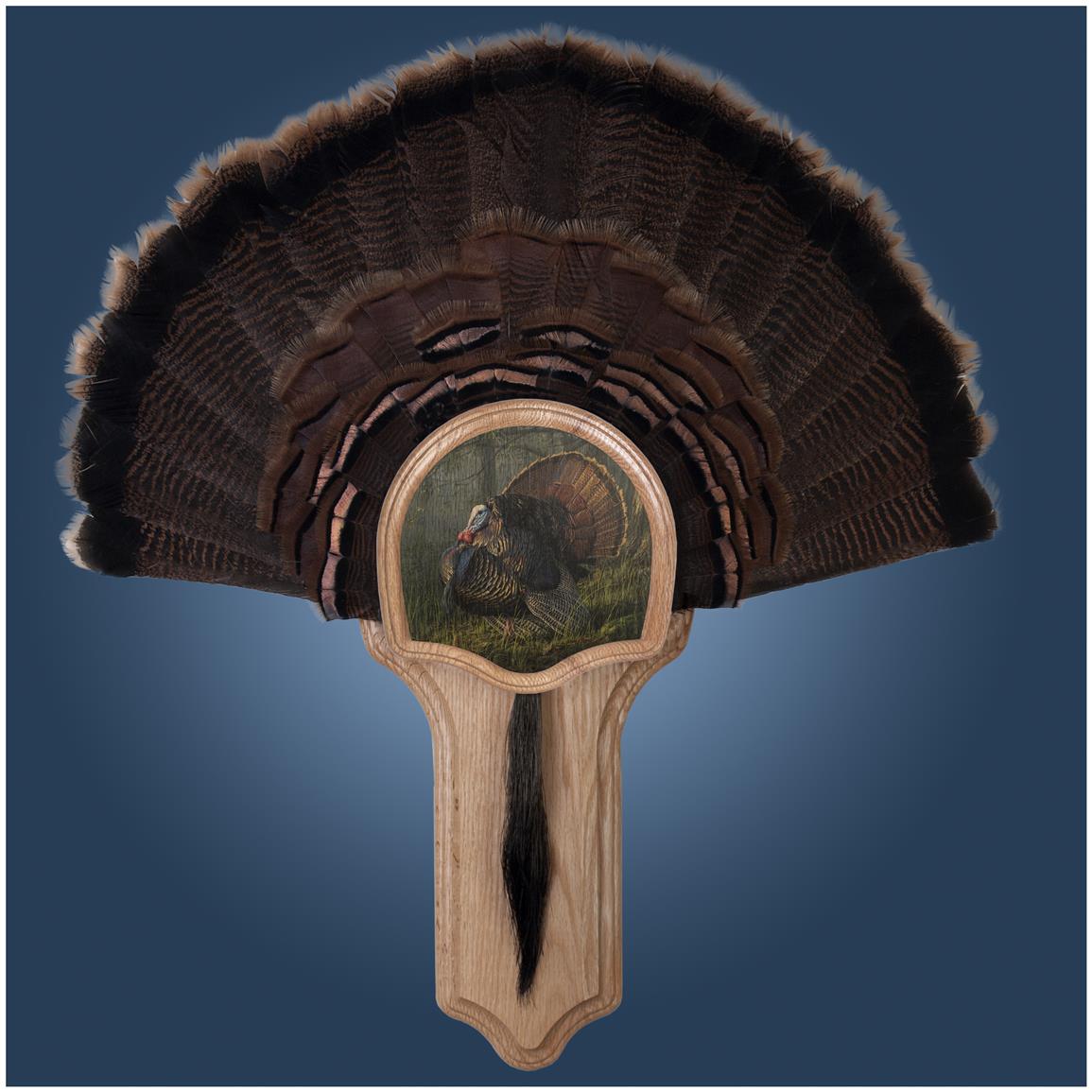 Walnut Hollow "King of Spring" Deluxe Turkey Fan Mount Display Kit