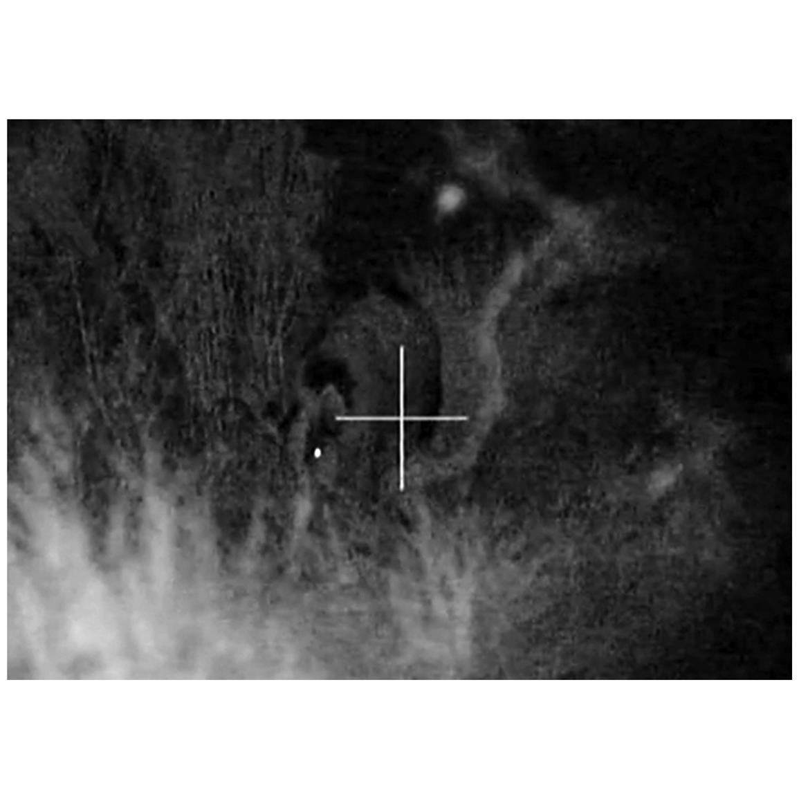 Armasight® Drone Pro 5X Digital Night Vision Rifle Scope 616378, Night Vision Scopes at