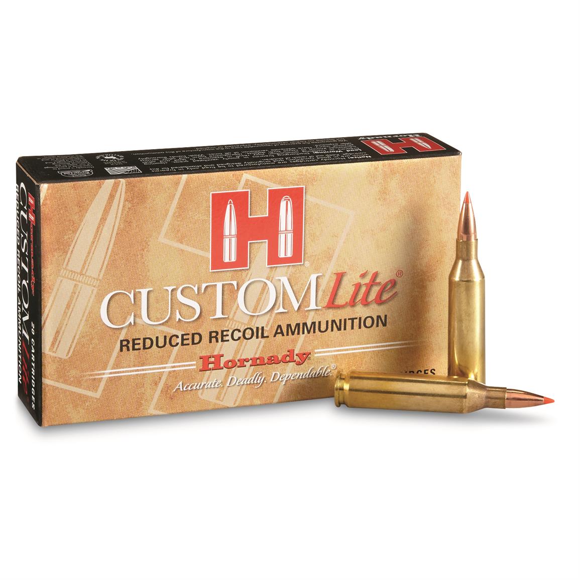 243 Ballistics Chart Hornady