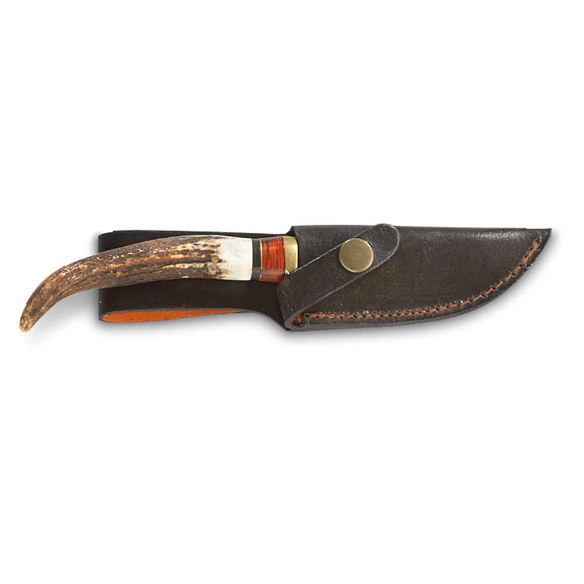 Whitetail® Stag Skinner Knife 619492, Fixed Blade Knives at Sportsman