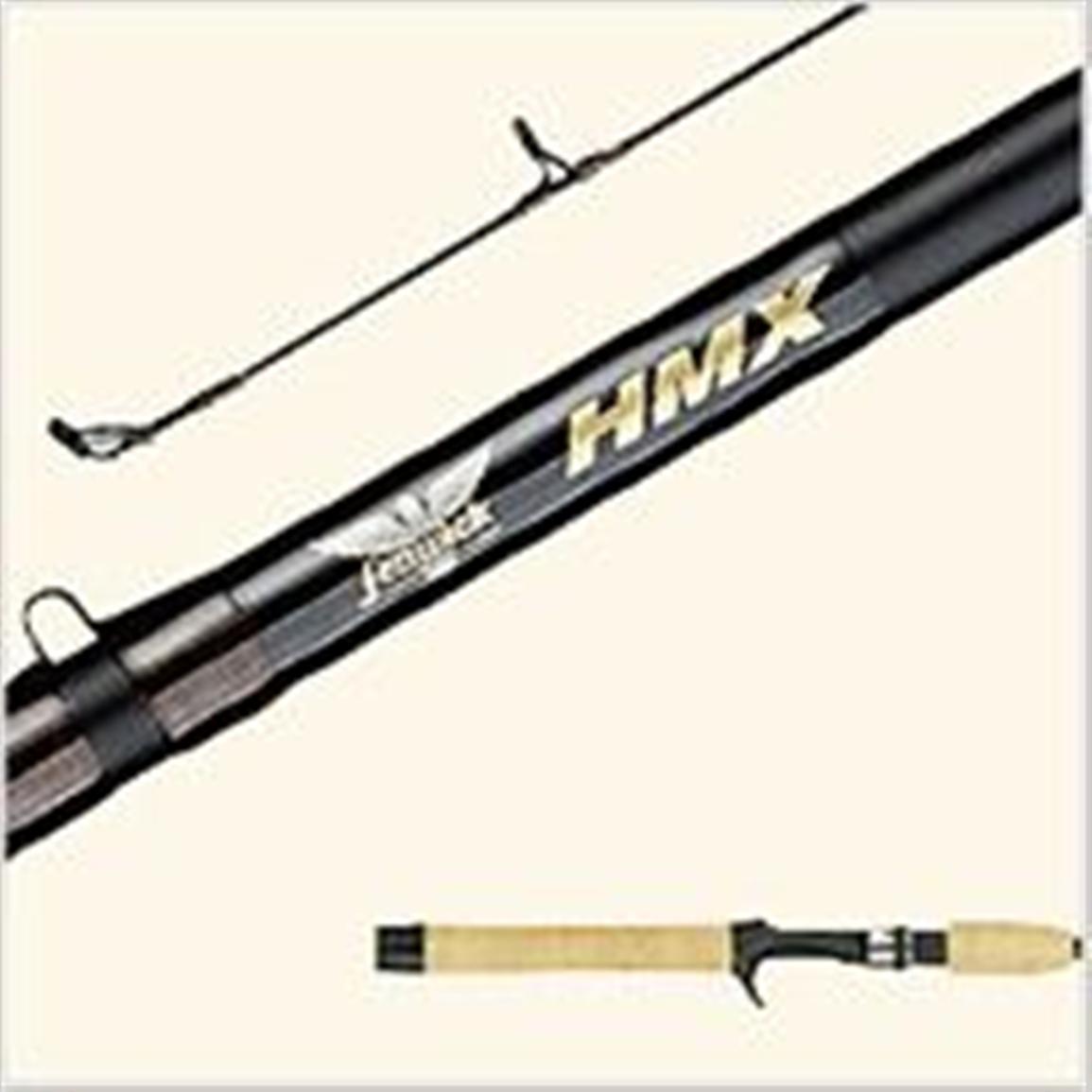 fenwick hmx casting rod