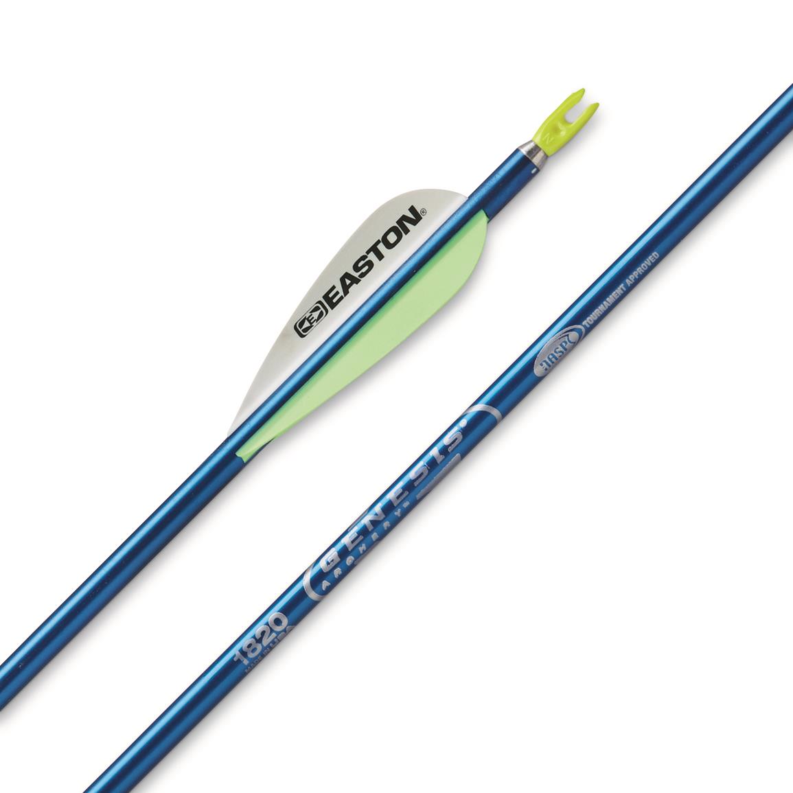 Easton Aluminum Genesis Arrow, Blue
