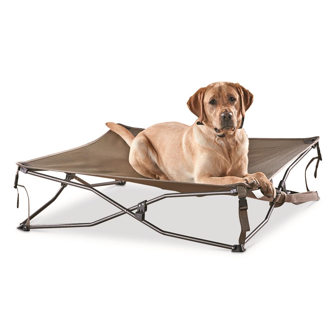 Guide Gear Dura Mesh Elevated Dog Bed, Brown