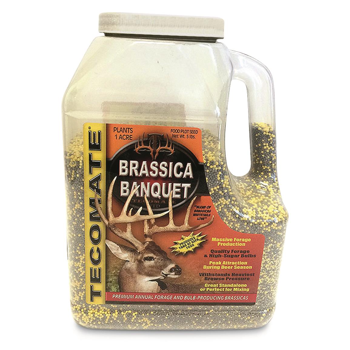 Tecomate Brassica Banquet, 3-lb. Jug