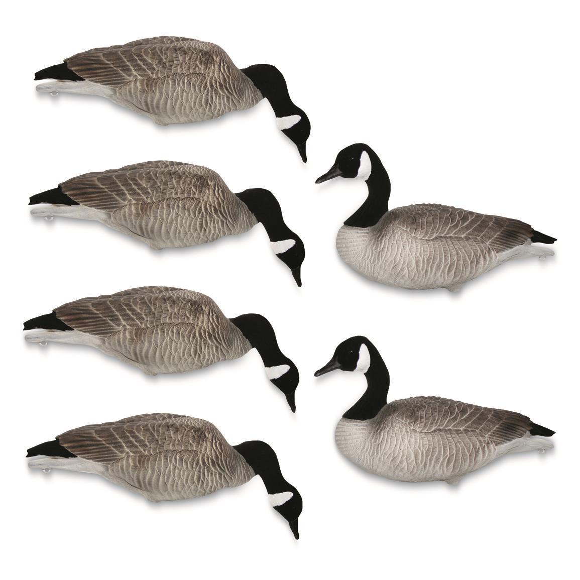 Mayhem Canada Goose Field Decoys, Flocked Heads, 6 Pack