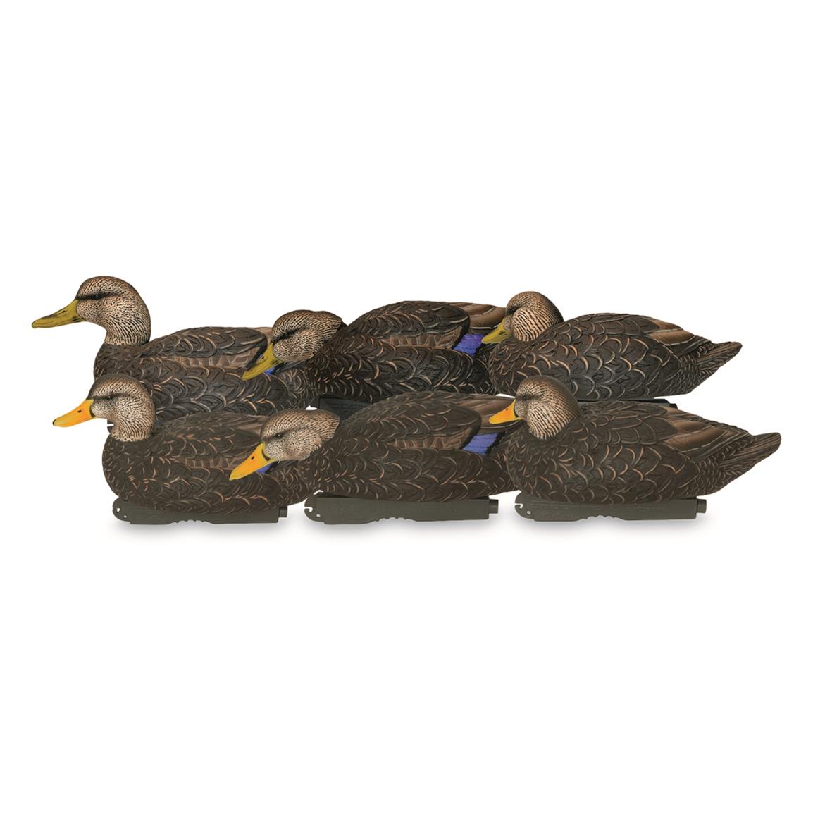 Avery GHG Pro-Grade XD Series Harvester Black Duck Decoys, 6 Pack