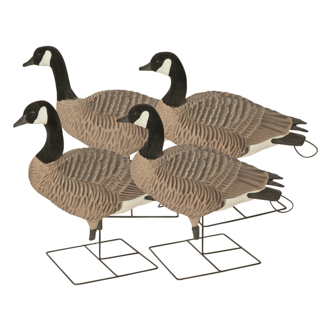 Avery Greenhead Gear Pro-Grade XD Series Canada Goose Full Body Active Decoys, 4 Pack