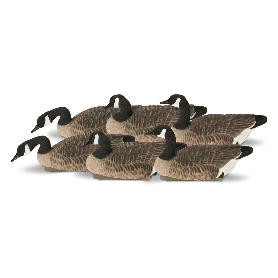 Avery Greenhead Gear Pro-Grade XD Series Canada Goose Harvester Floater Decoys, 6 Pack