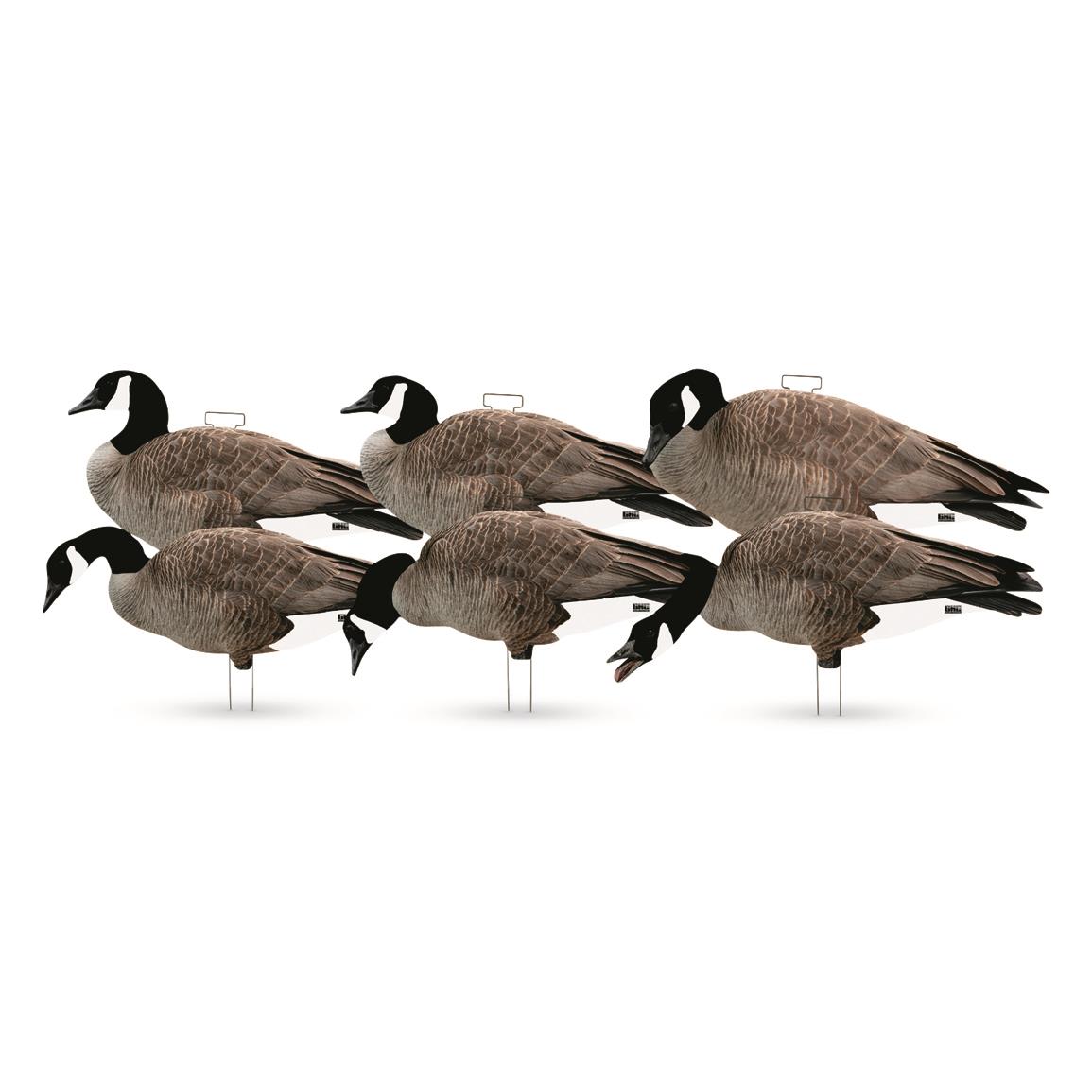 Avery GHG Pro-Grade Flocked Head Canada Goose Silhouette Decoys, 6 Piece Set