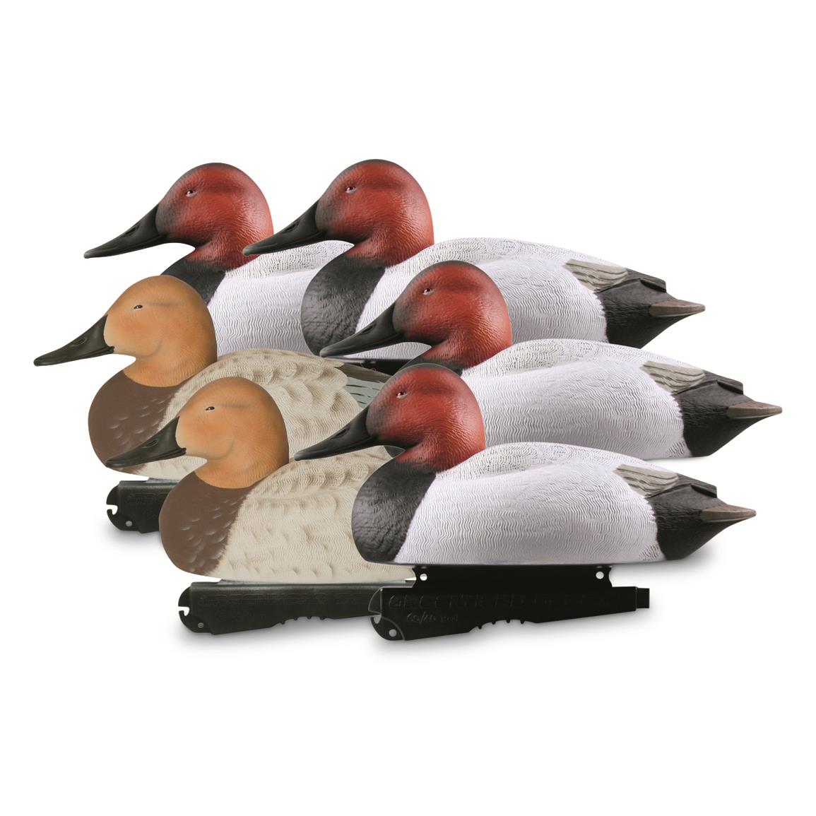 Avery Greenhead Gear Hunter Series Oversized Canvasback Decoys, 6 Pack
