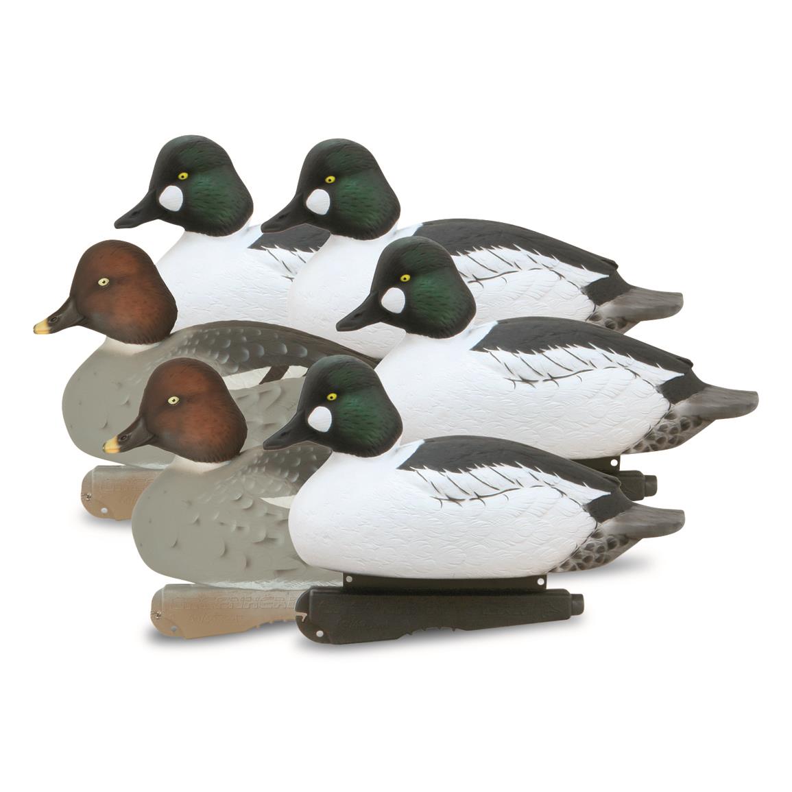 thumbnail image 2 of Avian X Topflight Black Ducks Decoys With Flocked Bodies, Realistic Paint Scheme 2 of 11
