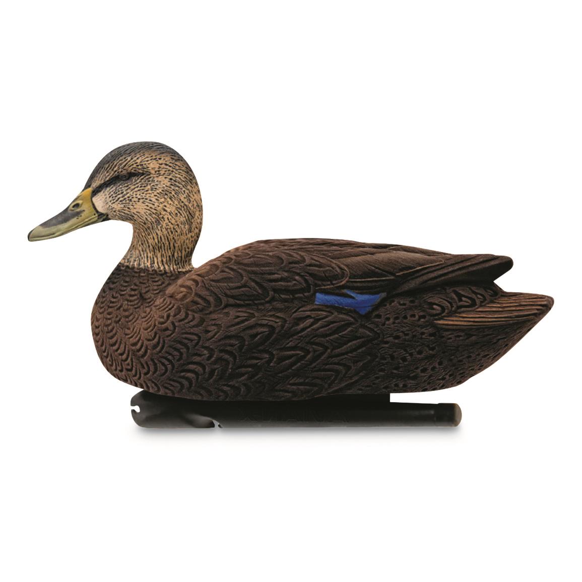 Avery GHG Hunter Series Life Size Green Winged Teal Duck Decoys, 6