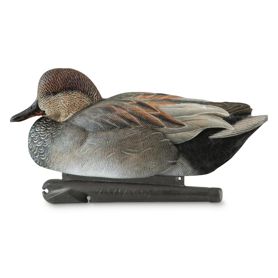 Avery GHG Hunter Series Oversized Diver Duck Decoys, 6 Pack 724399
