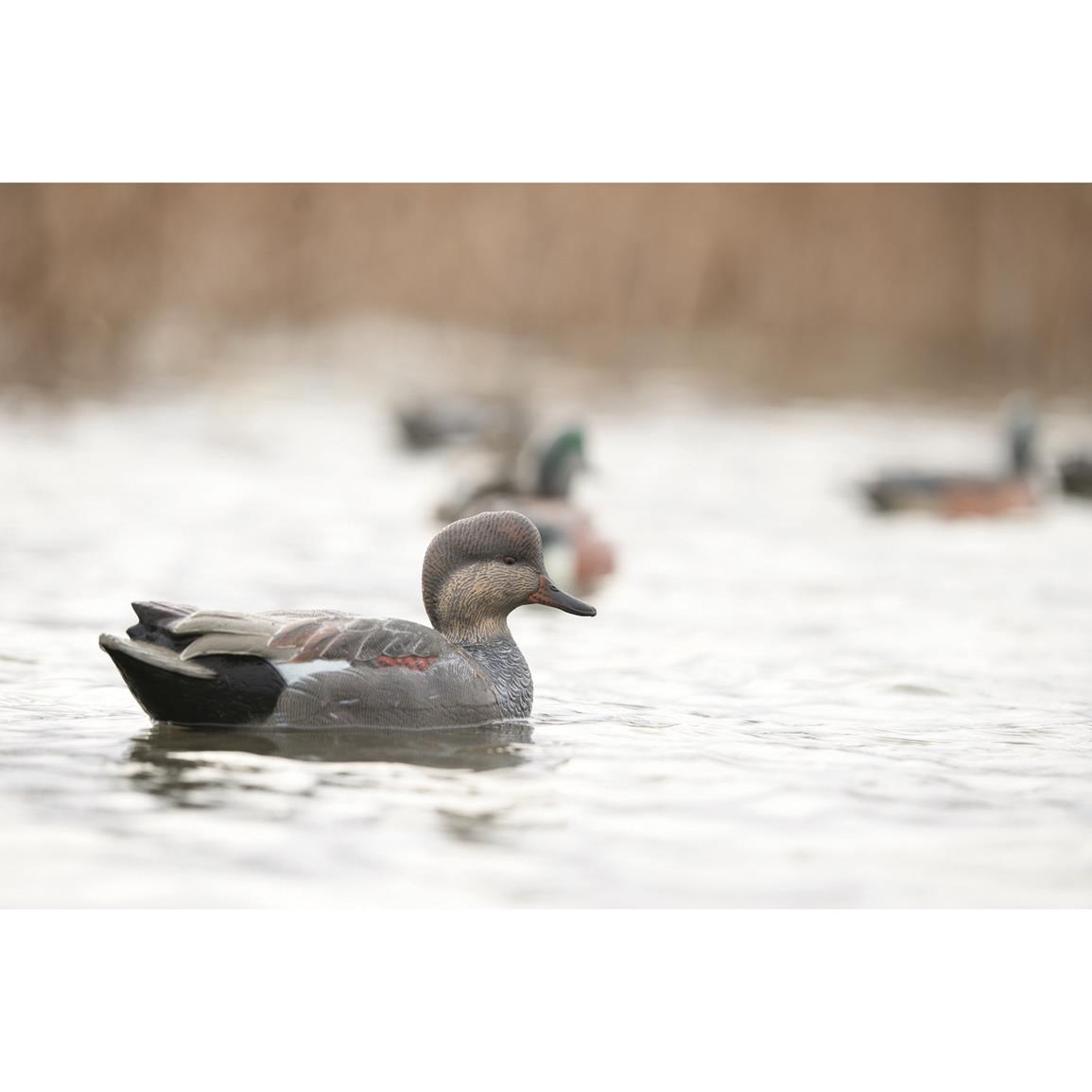 Avery GHG Hunter Series Oversized Diver Duck Decoys, 6 Pack 724399