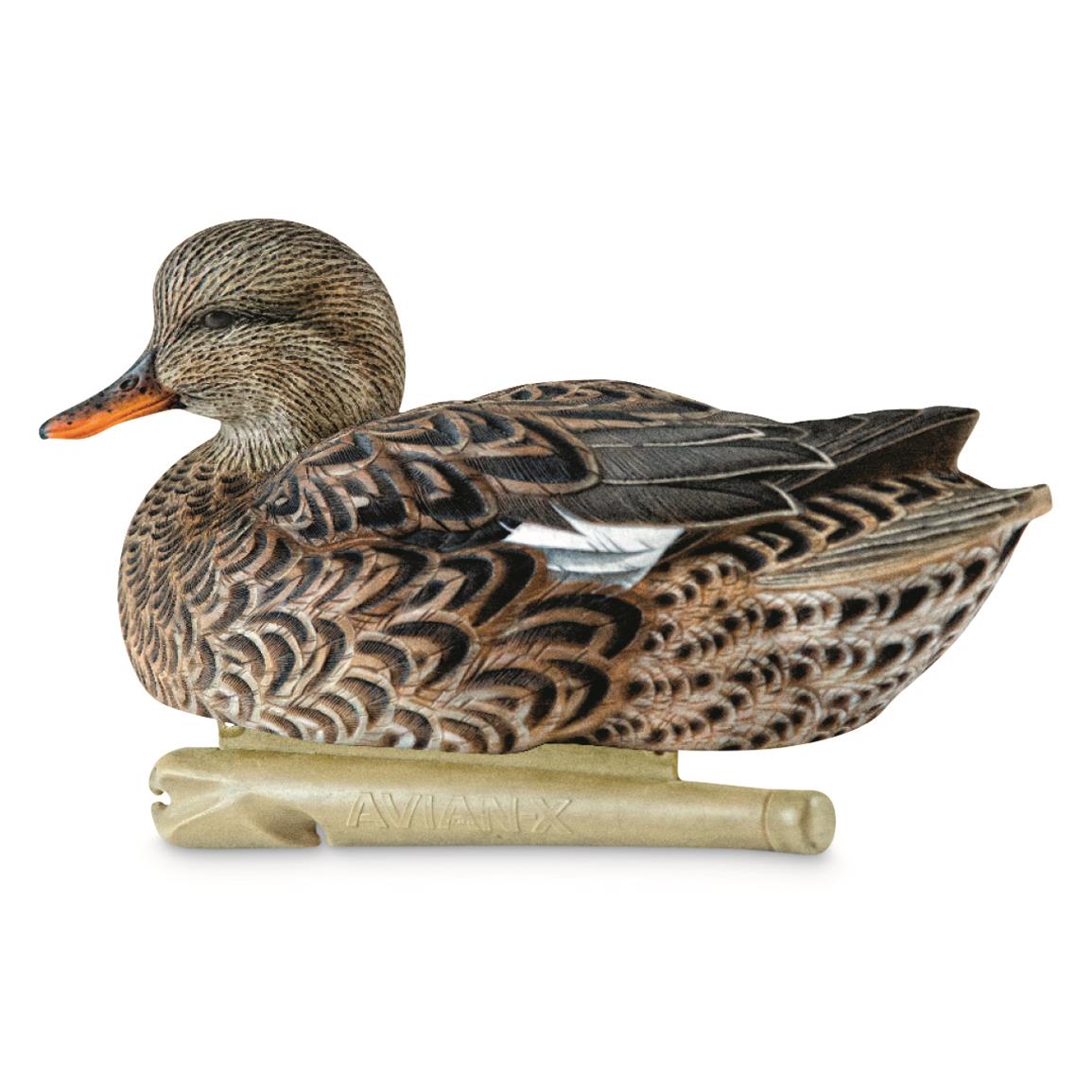 Avery GHG Hunter Series Oversized Diver Duck Decoys, 6 Pack 724399