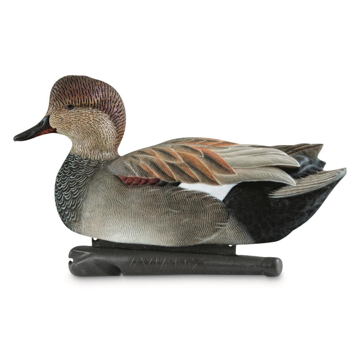 Avery GHG Hunter Series Oversized Diver Duck Decoys, 6 Pack 724399