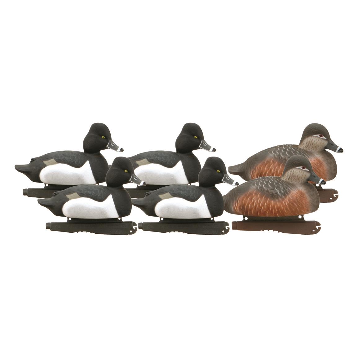 Avery GHG Hunter Series Life Size Ring Necked Duck Decoys, 6 Pieces