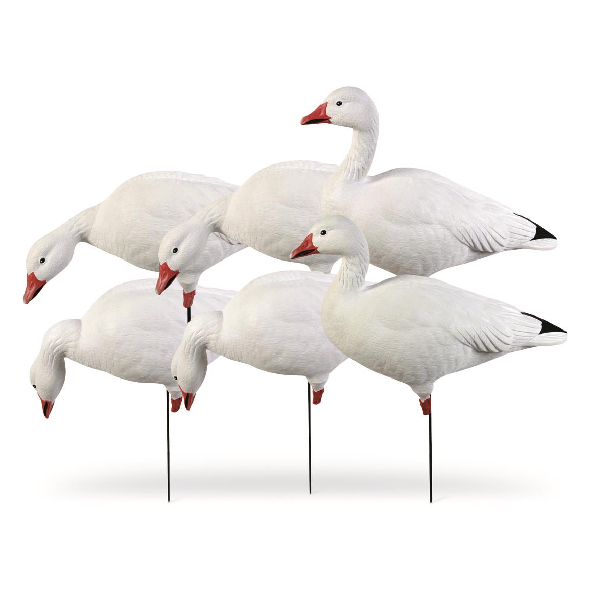 Avery GHG Pro-Grade Full Body Snow Goose Harvester Decoys, 6 Pack
