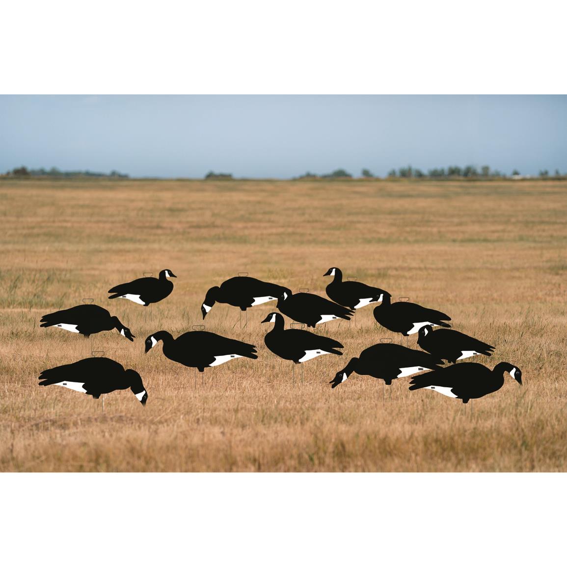 Avery GHG Pro-Grade Black & White Silhouette Goose Decoys, 12 Pieces