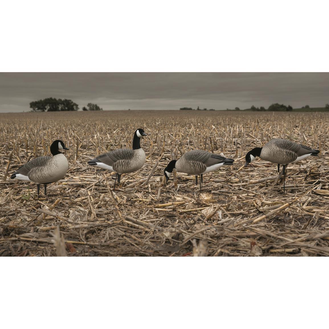 Avery Outdoors Ghg Pro-grade Blue-winged Teal Decoys – JAXOutdoorGearFarmandRanch