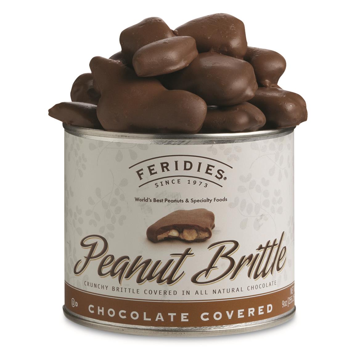Feridies 9 oz. Chocolate Covered Peanut Brittle