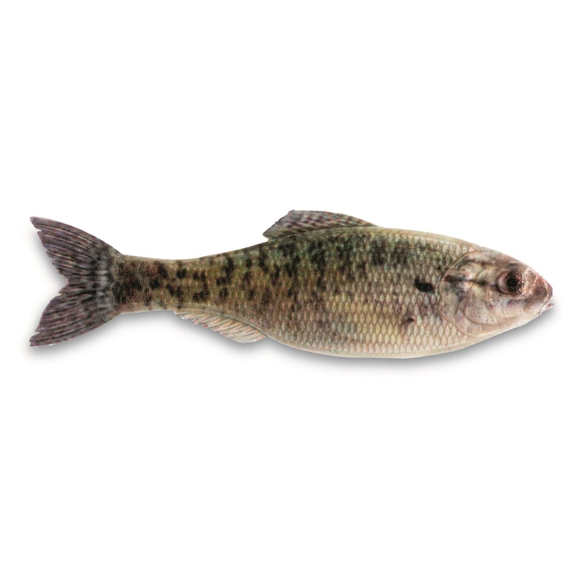 6th Sense Panorama 3.5 in Soft Baits 6-Pack