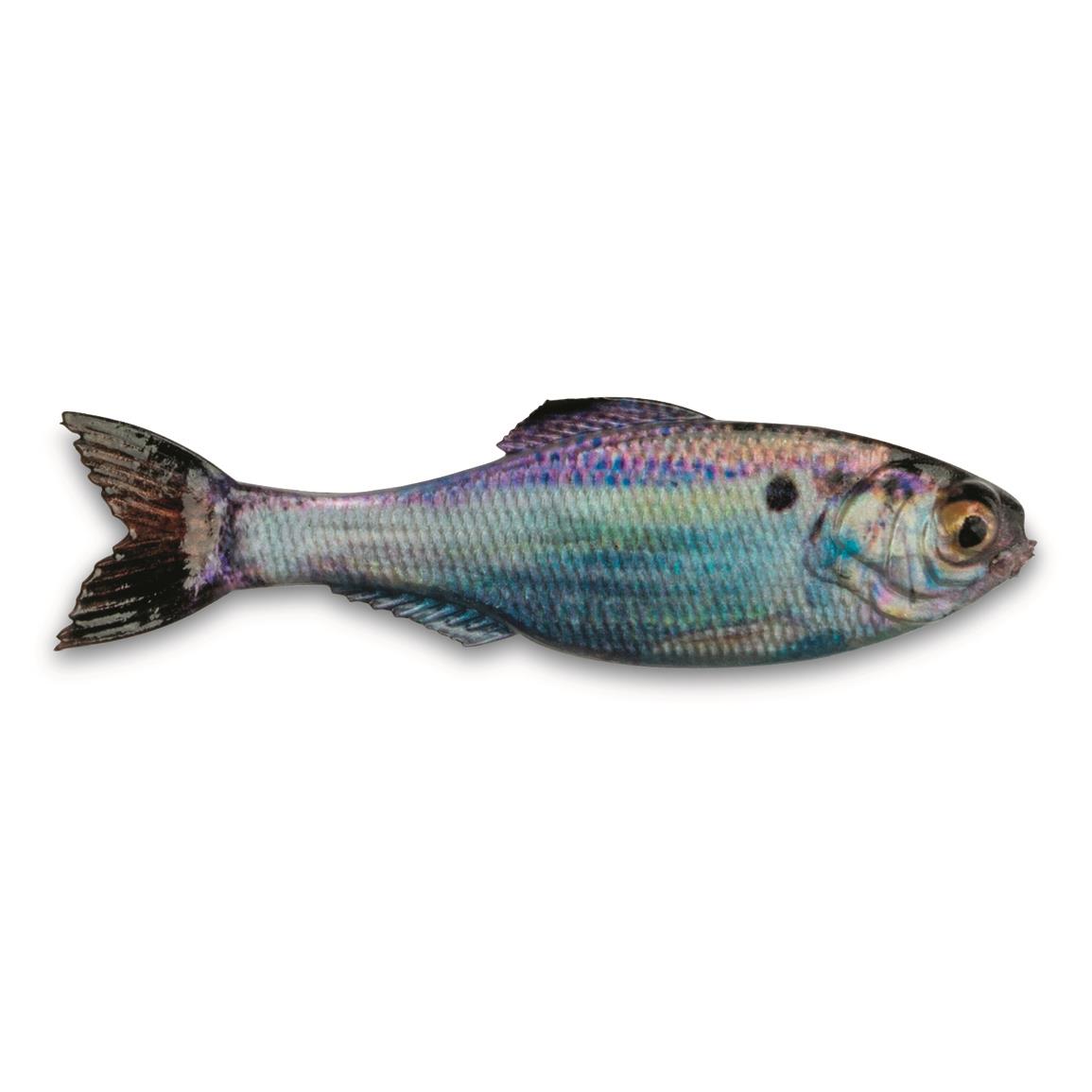 6th Sense Panorama Soft Jerkbaits