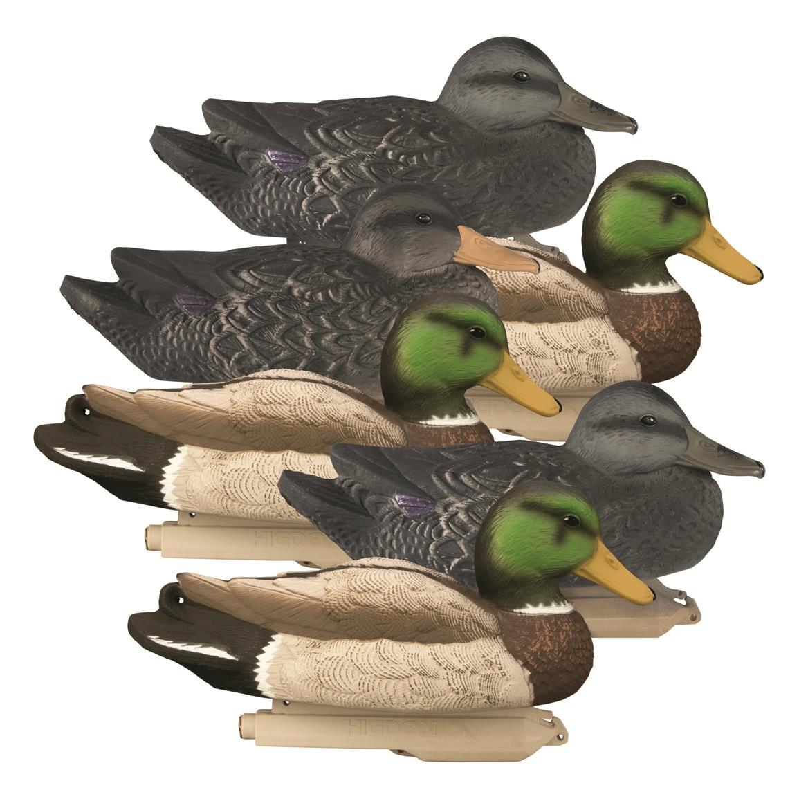 Higdon Standard Size Powers' Pack Duck Decoys, 6 Pieces - 742020, Duck ...