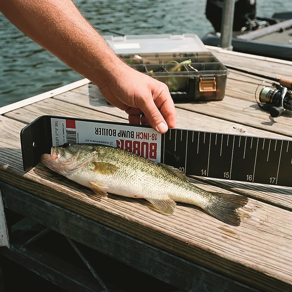 Bubba 28 in Fish Measuring Board