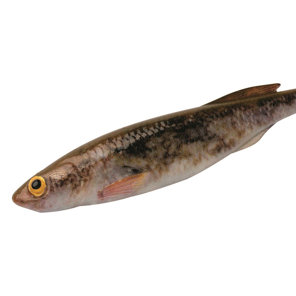 Berkley PowerBait Drip Swimmer 5-Pack