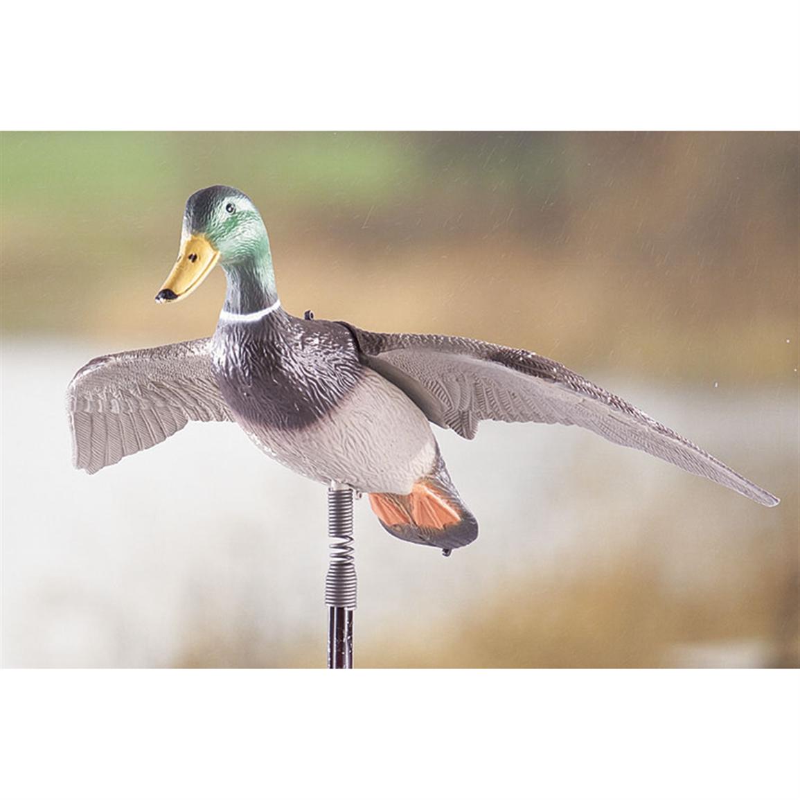 6-pack Bond® Flying Mallard Decoys - 75527, Deer & Big Game Decoys at ...