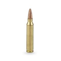 .223 Rem. 62 Grain Ammo
