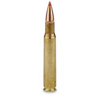 .30-06 Sprg .180 Grain Ammo