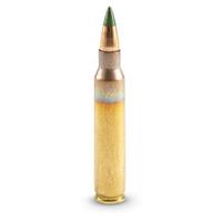 5.56x45mm 62 Grain