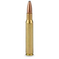 .30-06 Sprg. 180 Grain Ammo