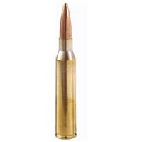 Reloadable brass case