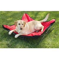 coleman elevated dog bed