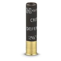 .41 cal FTX slug with 2 .35 cal. balls