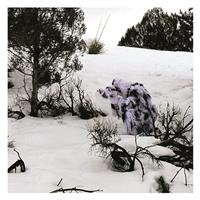 Excellent winter concealment 