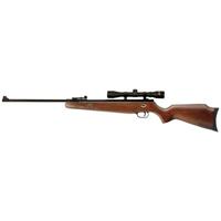 UPC 026785105129 product image for Beeman .22 Cal. Teton Air Rifle with 4x32 Scope | upcitemdb.com