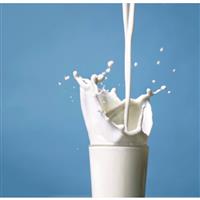 1 pouch Whey Milk (12 servings)
