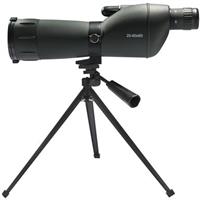 Straight eyepiece system